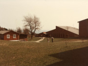 Scan11606 FUGLSØ 28-04-1984